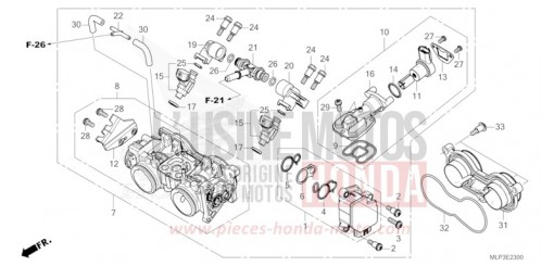 CORPS DE PAPILLON CL500AP de 2023